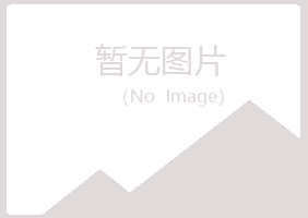 南阳夏岚能源有限公司